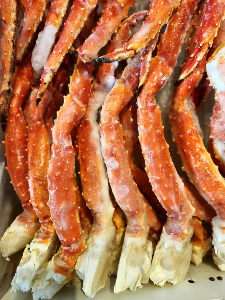 Snow Crab
