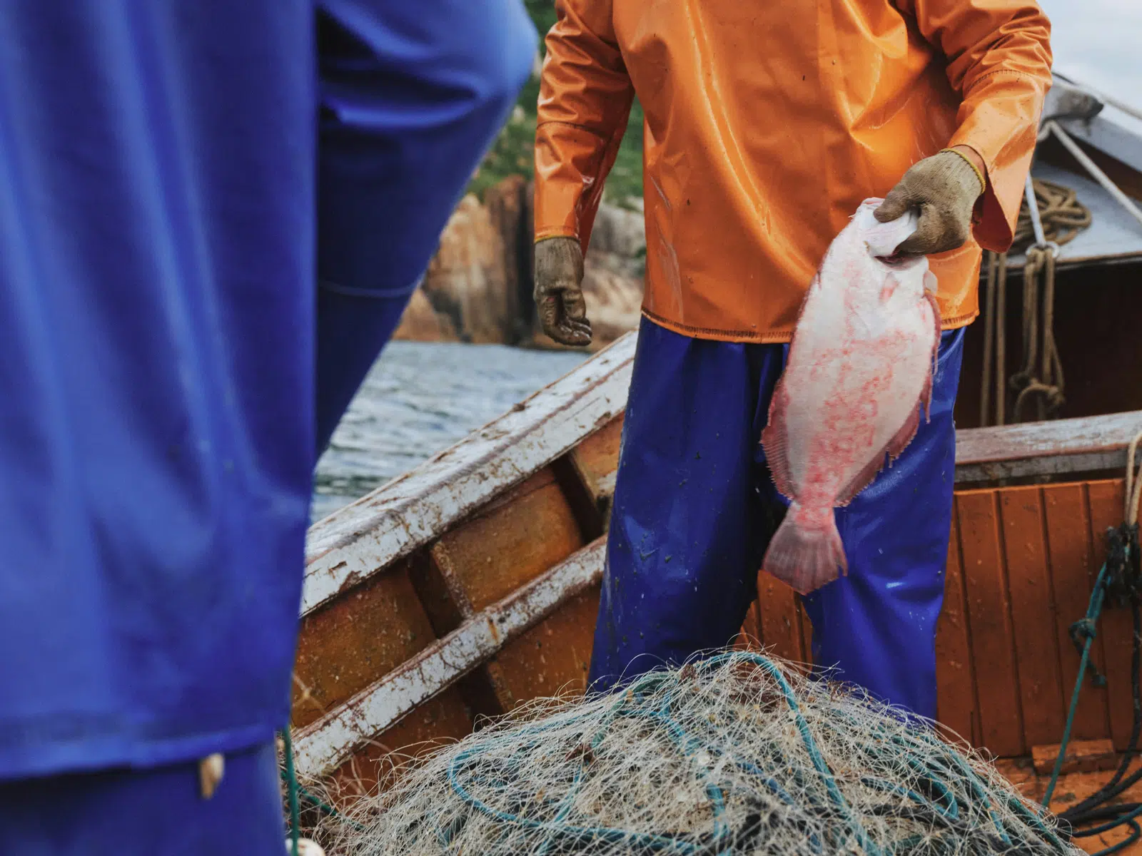 Halibut (Atlantic & Pacific)