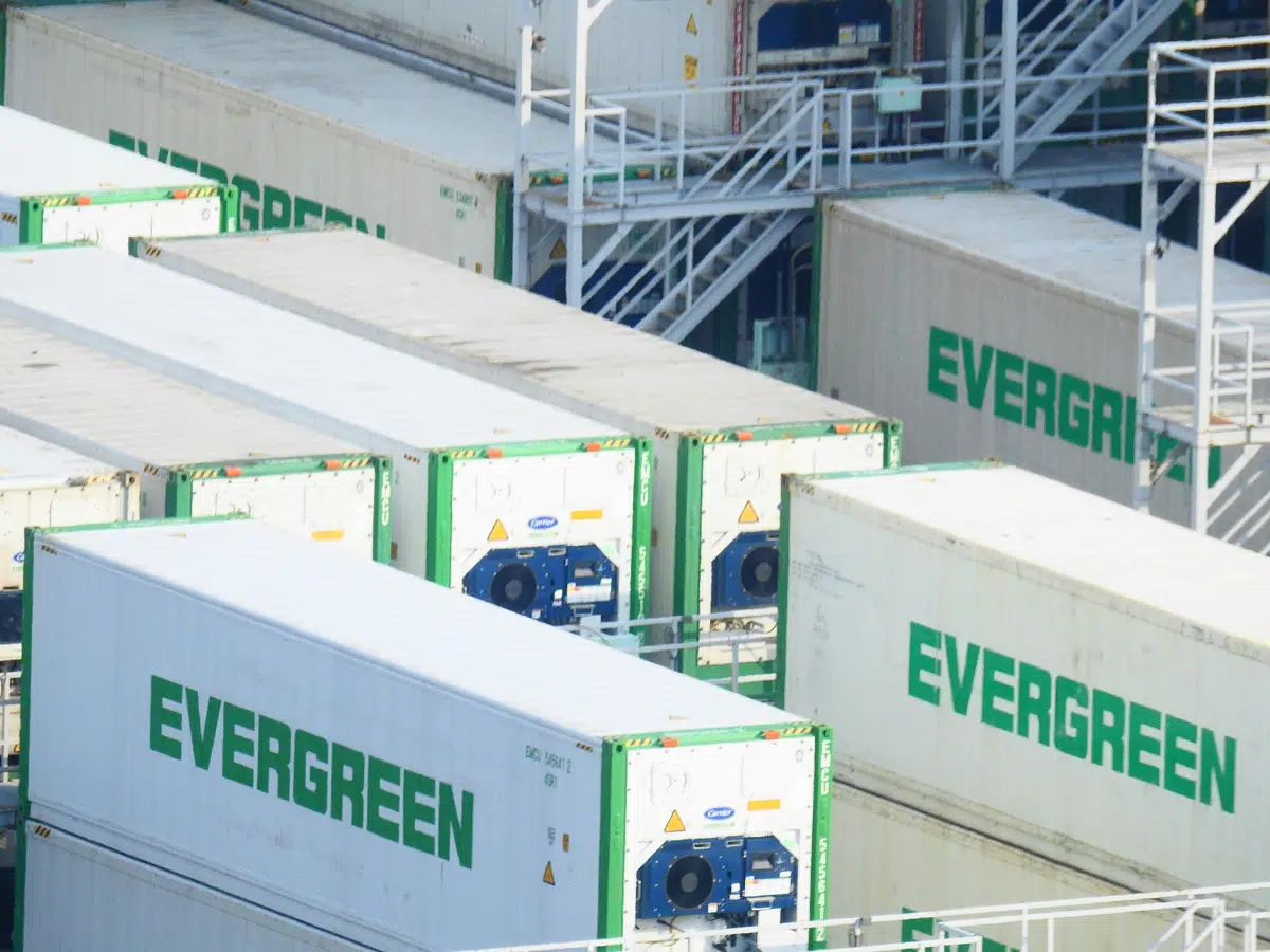 Refrigerated shipping containers staged at a terminal