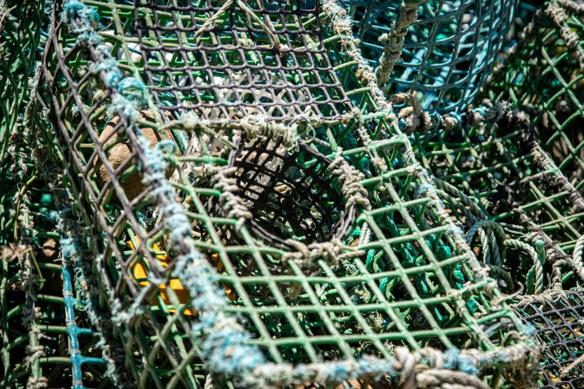 Green lobster traps stacked and ready for the season