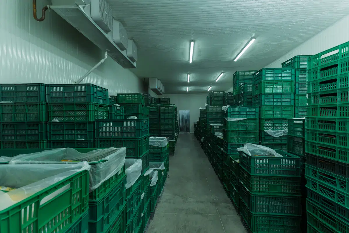 What is in the cold room and what is on the paper must be the same load.