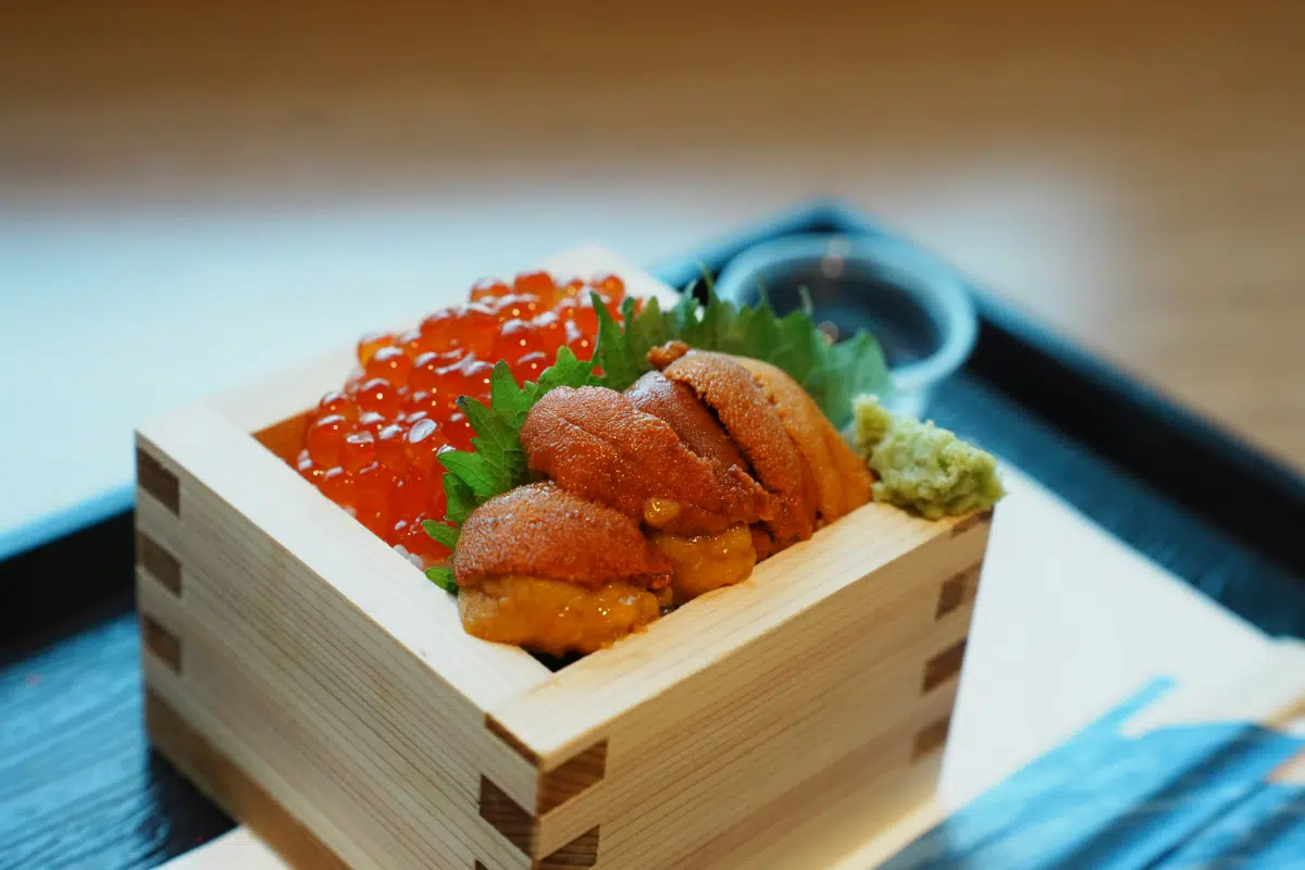 Sea Urchin (Uni)